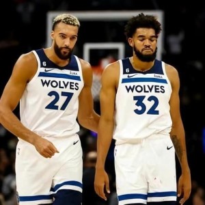  戈贝尔森林狼DPOY级防守让对手命中率不足四成  